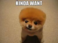 Do Want / Do Not Want
