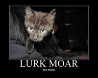 Lurk Moar