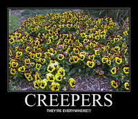 Minecraft Creeper