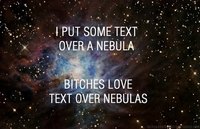 Bitches Love X