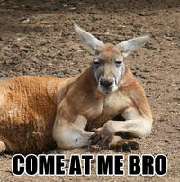 COME AT ME BRO