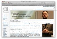 2010 Wikipedia Fundraising Campaign