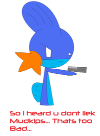 I Herd U Like Mudkips