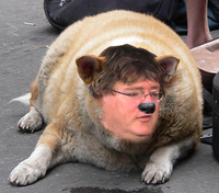 Gabe Newell
