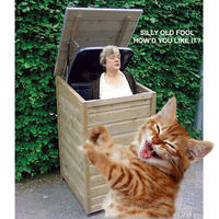 Mary Bale (Woman dumped cat in wheelie bin)