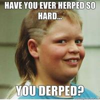 Haircut-boy-Have-you-ever-herped-so-hard-you-derped.jpg