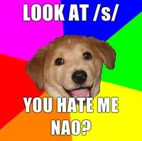 Advice Dog