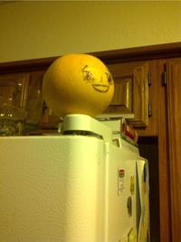 fridge.jpg