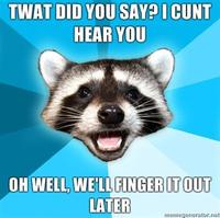 Lame Pun Coon