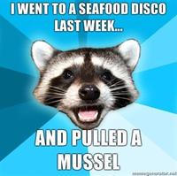 Lame Pun Coon