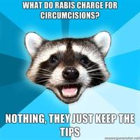 Lame Pun Coon