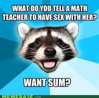 Lame Pun Coon