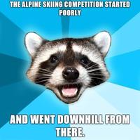 Lame Pun Coon