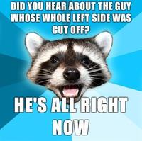 Lame Pun Coon