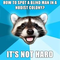 Lame Pun Coon