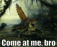 COME AT ME BRO