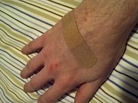IMG-20110103-00095.jpg