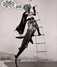I'm The Goddamn Batman