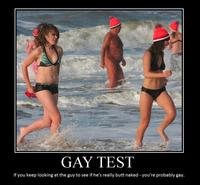 Gay Test