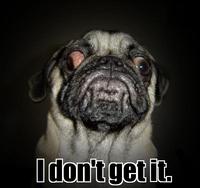 Repugnant-Pugdon'tgetit.jpg