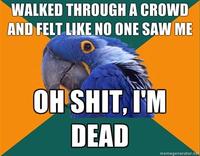 Paranoid Parrot