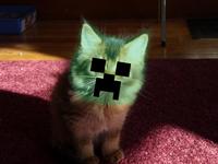 Minecraft Creeper