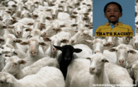 That's Racist!