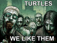 I Like Turtles
