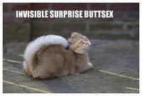 Surprise Buttsecks