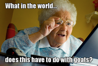Internet Grandma Surprise