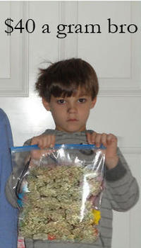 Beyblades eBay Auction