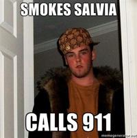 Scumbag Steve