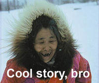 Cool Story, Bro