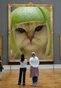 Limecat