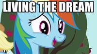 My Little Pony: Friendship is Magic