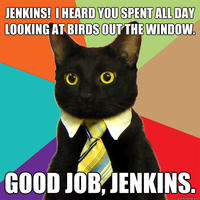 Business Cat