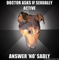 Depression Dog