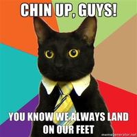 Business Cat