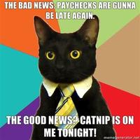 Business Cat