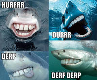 DERP