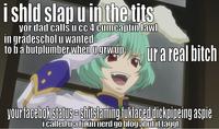 Hurt Feelings and Butt Ranged/Wall of Text Insult Images