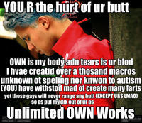 Hurt Feelings and Butt Ranged/Wall of Text Insult Images