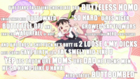 Hurt Feelings and Butt Ranged/Wall of Text Insult Images