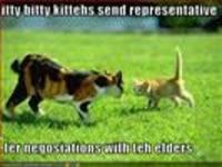 Itteh Bitteh Kitteh Committeh