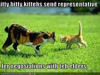 Itteh Bitteh Kitteh Committeh