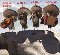 O RLY?