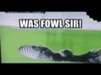 O RLY?