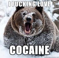 I Fucking Love Cocaine / Cocaine Bear