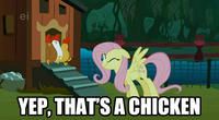 My Little Pony: Friendship is Magic