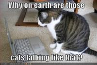 LOLcats